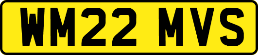 WM22MVS