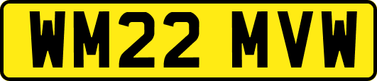 WM22MVW