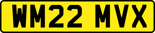 WM22MVX