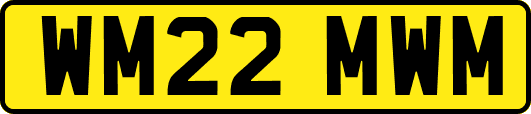 WM22MWM