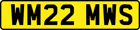 WM22MWS