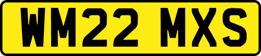 WM22MXS