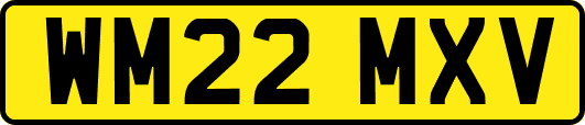 WM22MXV