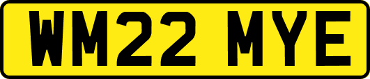 WM22MYE