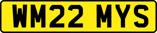 WM22MYS