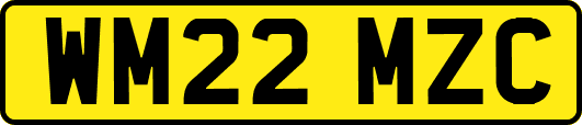 WM22MZC