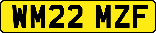 WM22MZF