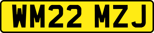 WM22MZJ