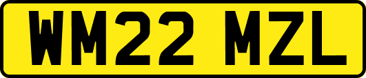WM22MZL