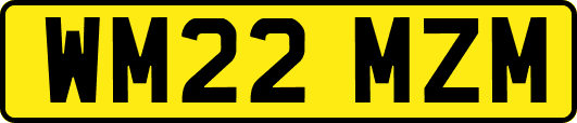 WM22MZM
