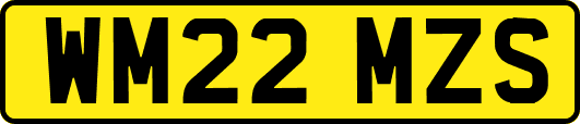 WM22MZS