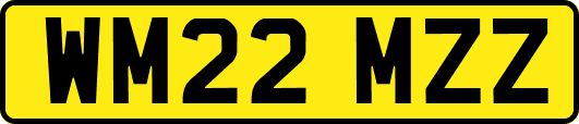 WM22MZZ
