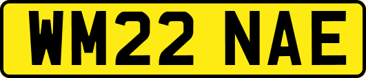 WM22NAE
