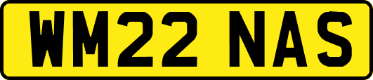WM22NAS