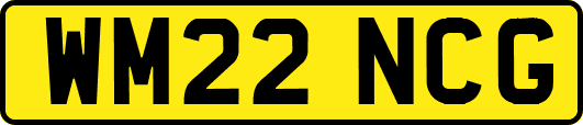 WM22NCG