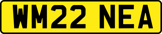 WM22NEA