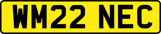 WM22NEC