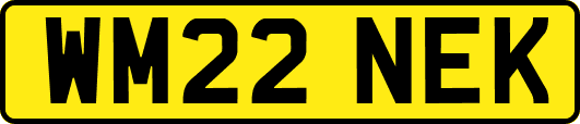 WM22NEK