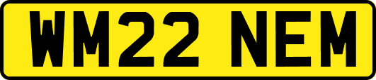 WM22NEM