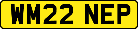 WM22NEP