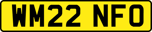 WM22NFO