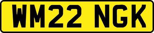 WM22NGK
