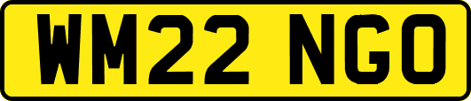 WM22NGO