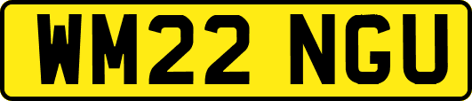 WM22NGU