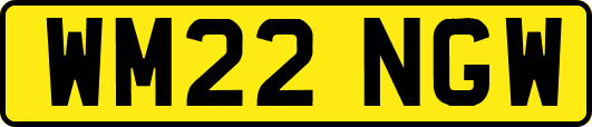 WM22NGW