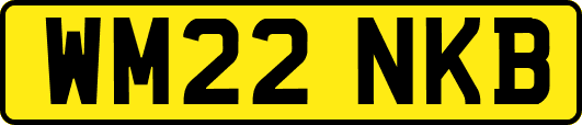 WM22NKB