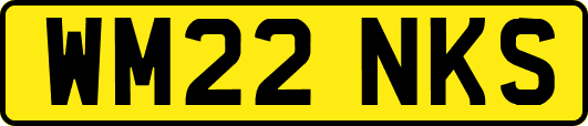 WM22NKS