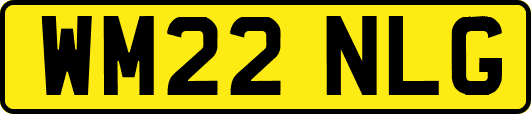 WM22NLG
