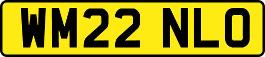 WM22NLO