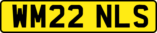WM22NLS