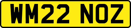 WM22NOZ