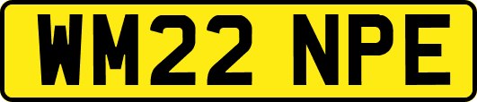 WM22NPE
