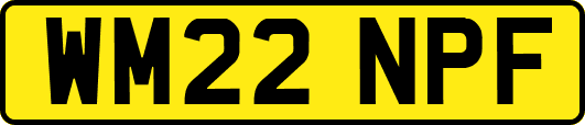 WM22NPF