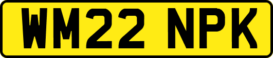 WM22NPK