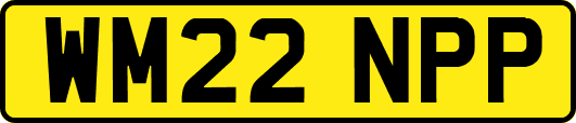 WM22NPP