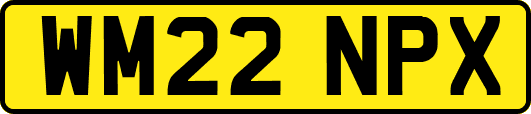 WM22NPX