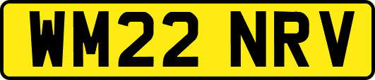 WM22NRV