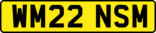 WM22NSM