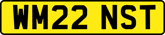 WM22NST