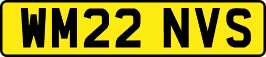 WM22NVS