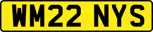 WM22NYS