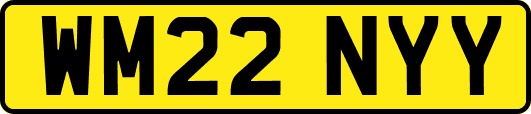 WM22NYY