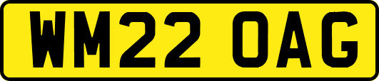 WM22OAG