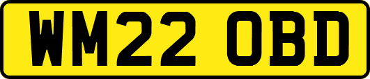 WM22OBD