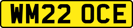 WM22OCE
