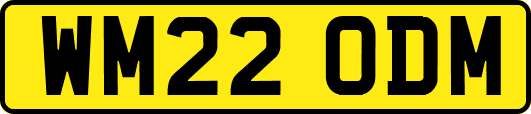 WM22ODM